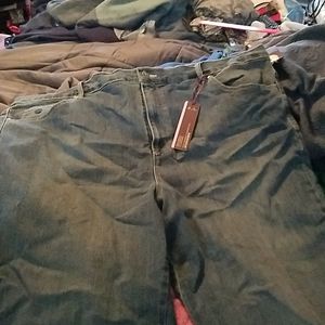 Gloria Vanderbilt  Amanda Jean's smoke and pet fre